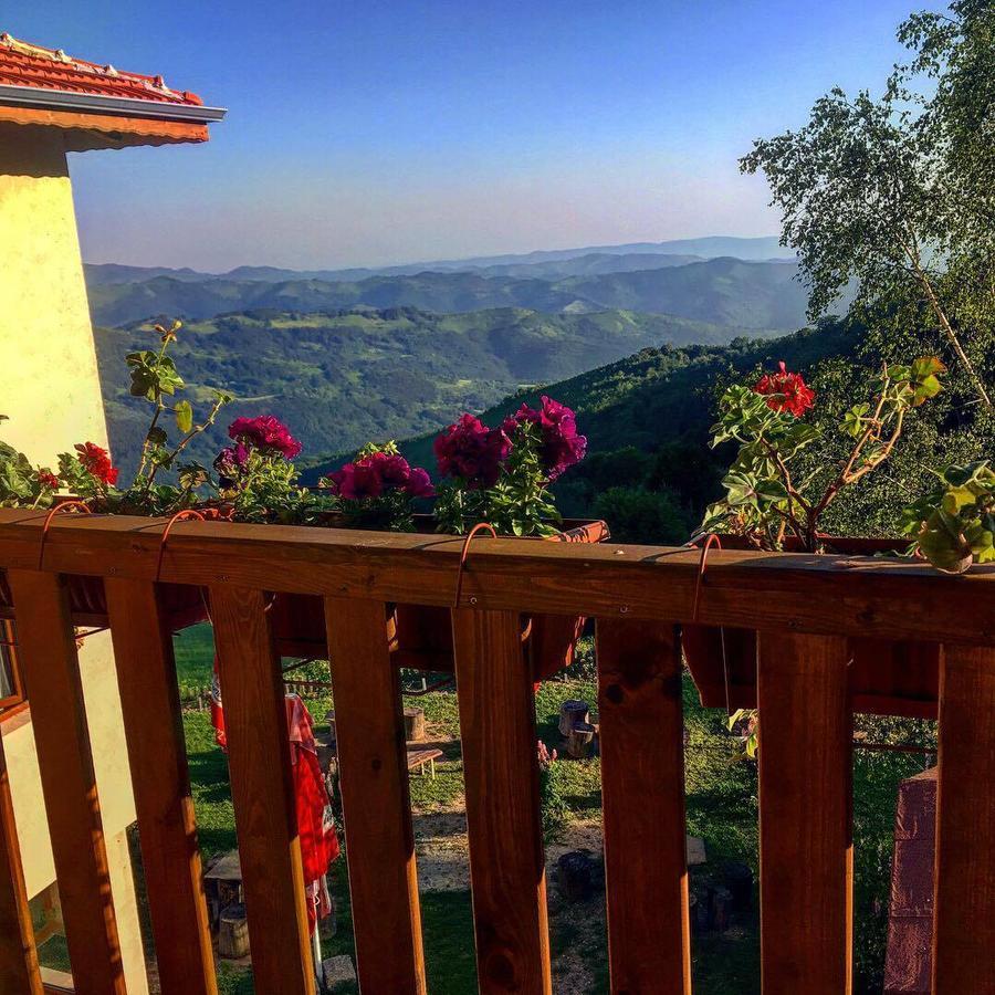 Family Hotel Panorama Чифлик Экстерьер фото