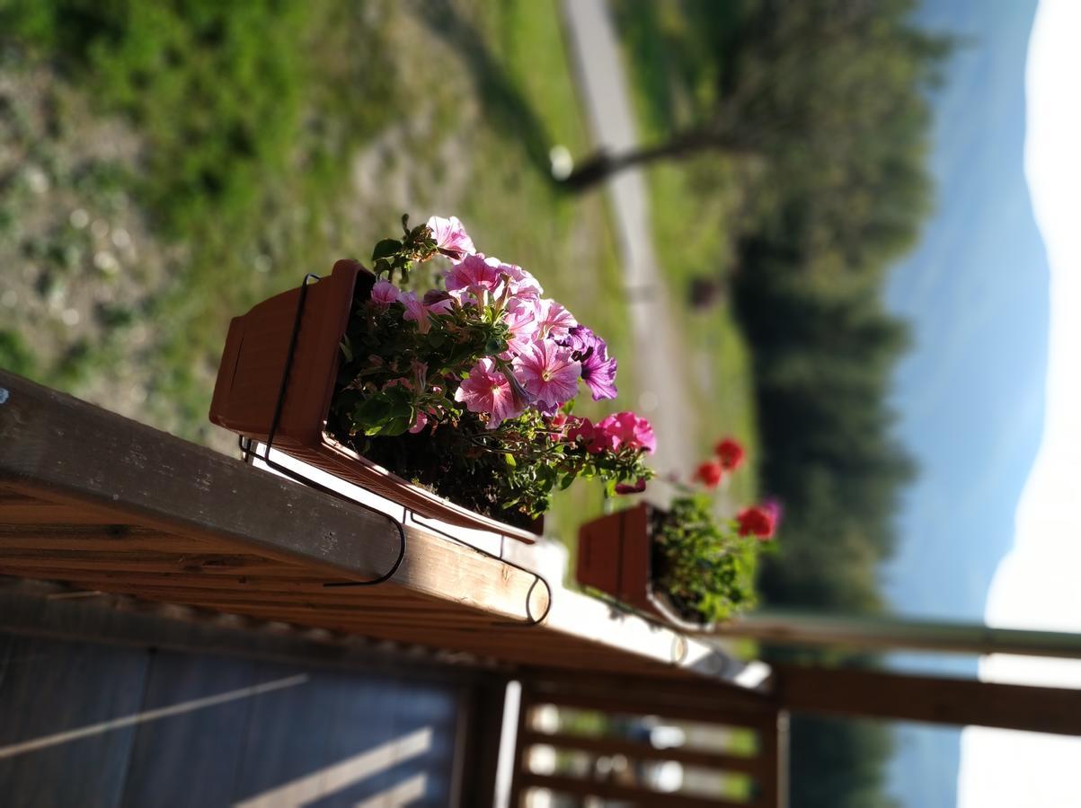 Family Hotel Panorama Чифлик Экстерьер фото